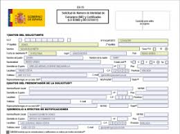 form 790 nie number spain